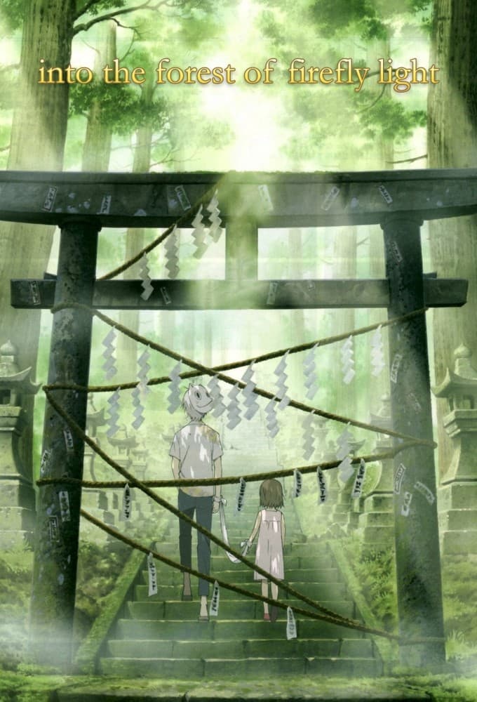 To the Forest of Firefly Lights